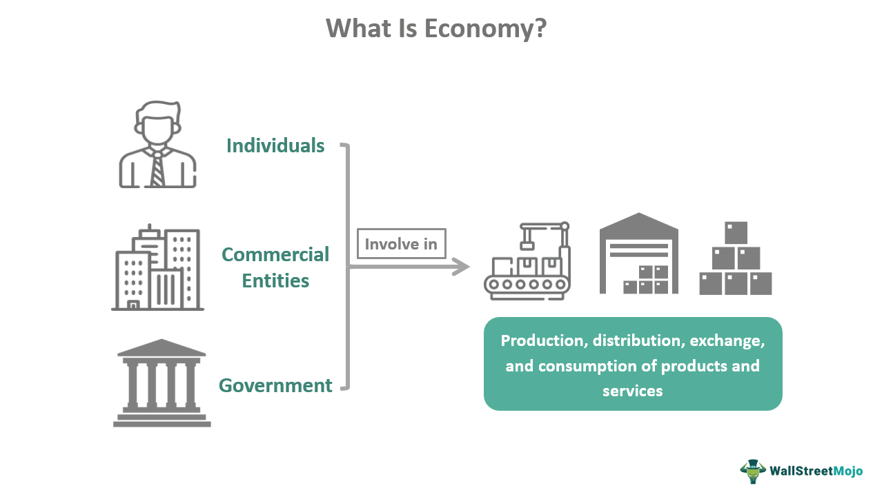 Economy Meaning, Types, Functions, How Does it Work?