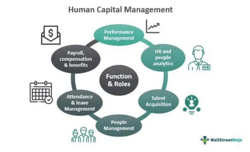 Human Capital Management What Is It, Functions, Examples