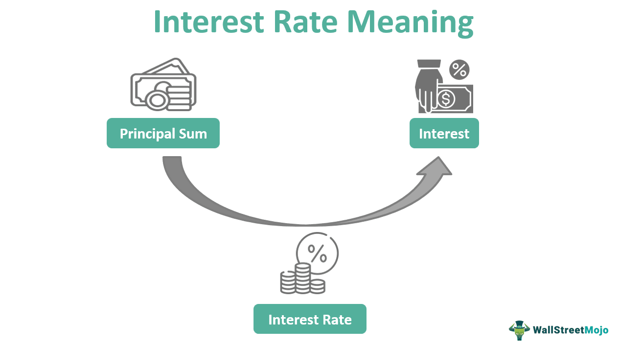 Interest Rate What Is It, Formula, Vs APY, Risk
