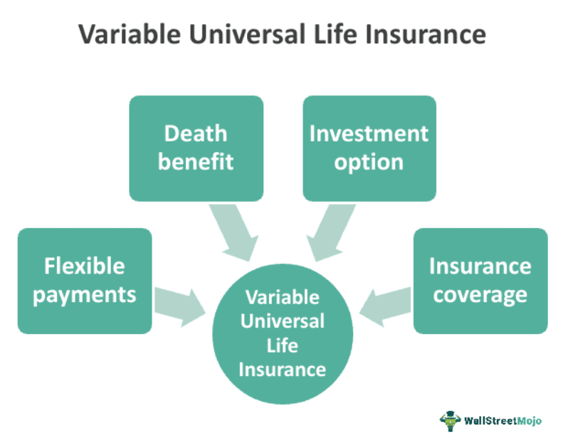 Variable Universal Life Insurance (VUL) Meaning, Pros & Cons