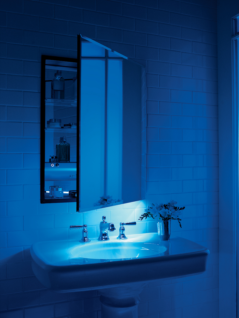 Bathroom Maryland, Washington, D.C., northern Virginia