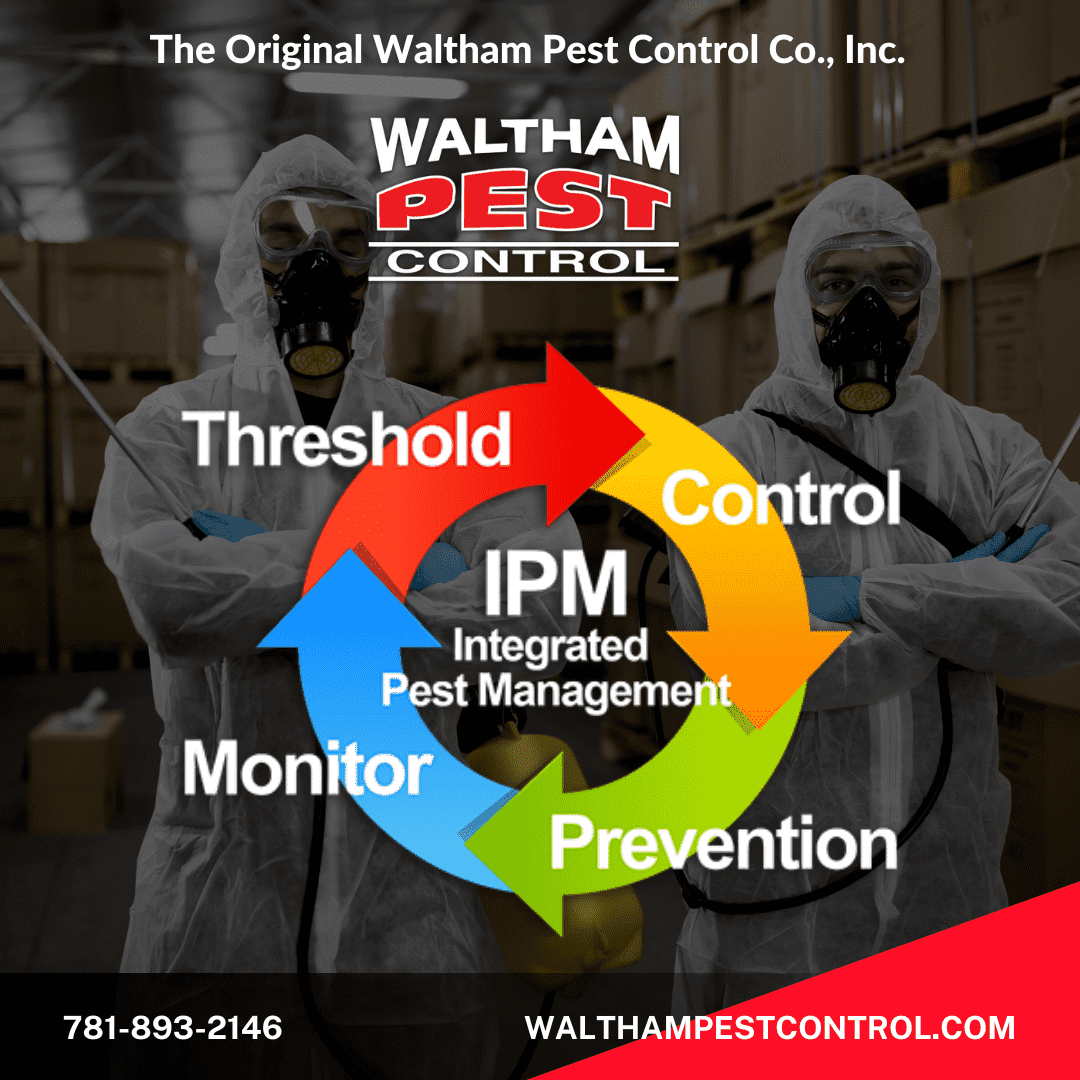 Commercial Pest Control Services Waltham Pest Control Burlington MA