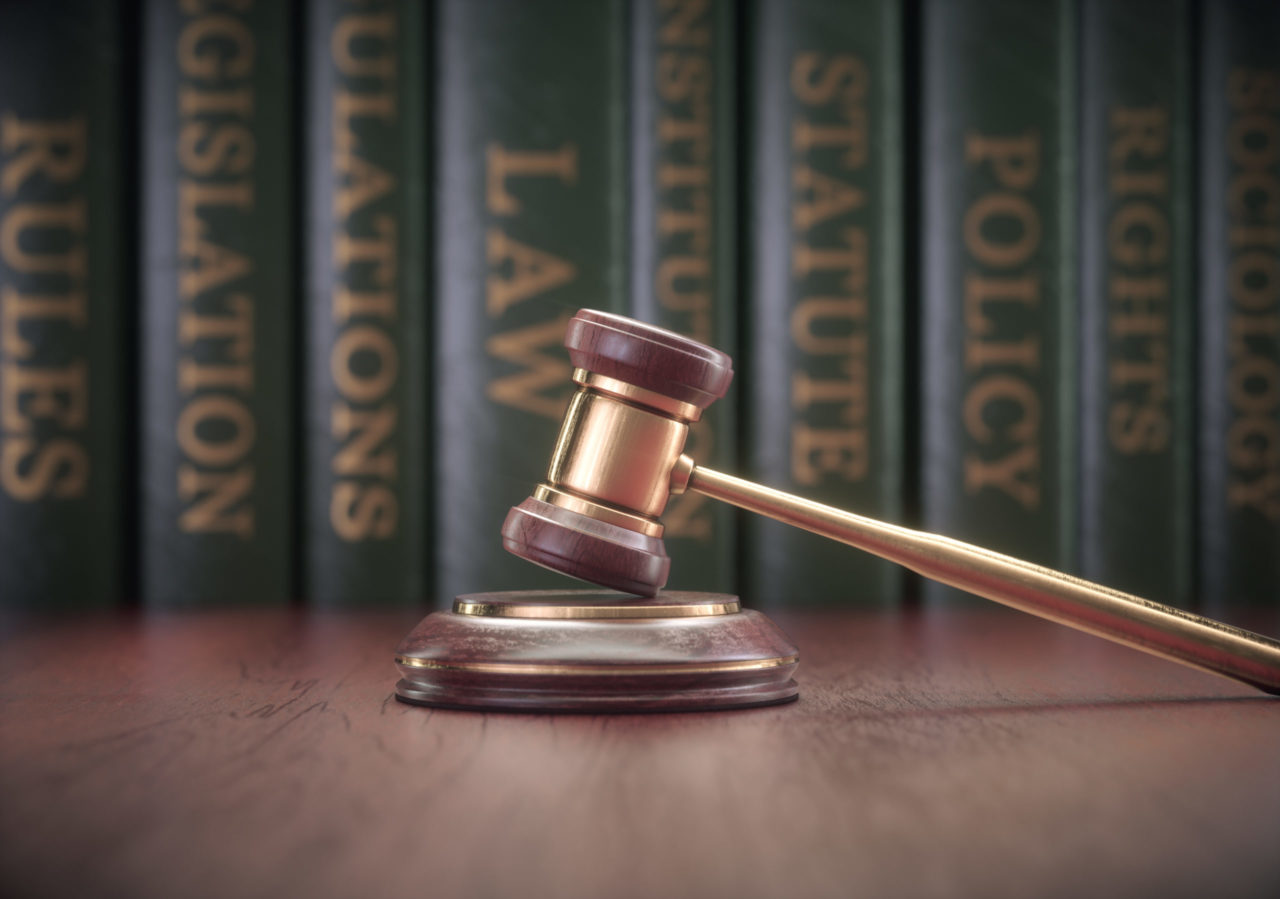 A Guide to the Many Human Rights Careers WAMT