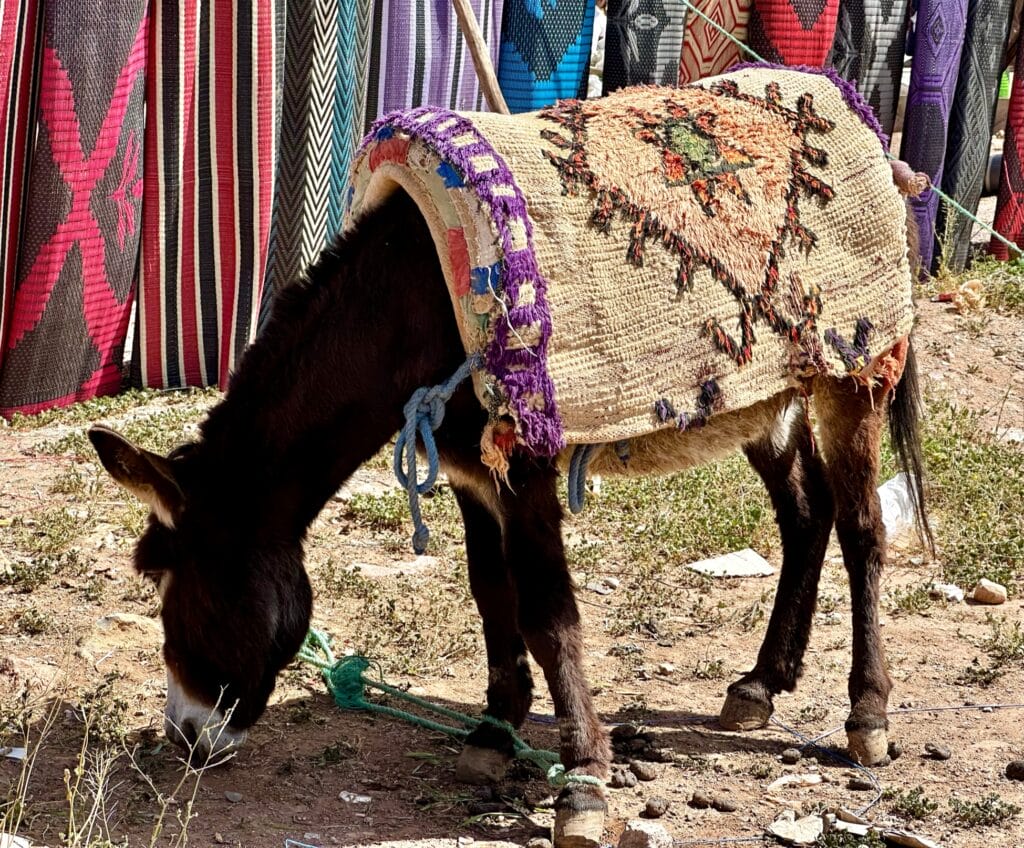 Markets of Morocco, The Markets of Morocco