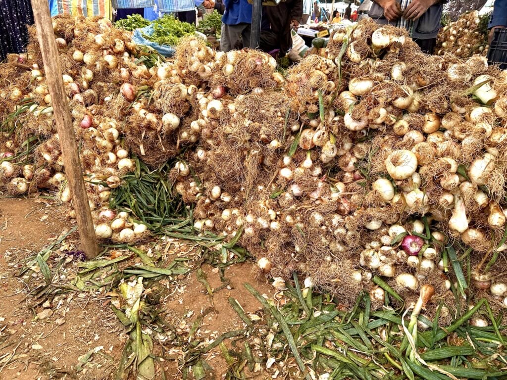 Markets of Morocco, The Markets of Morocco