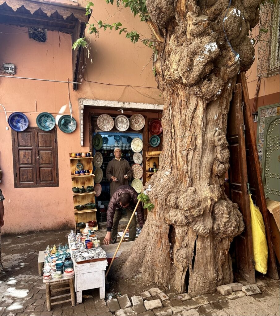 Markets of Morocco, The Markets of Morocco