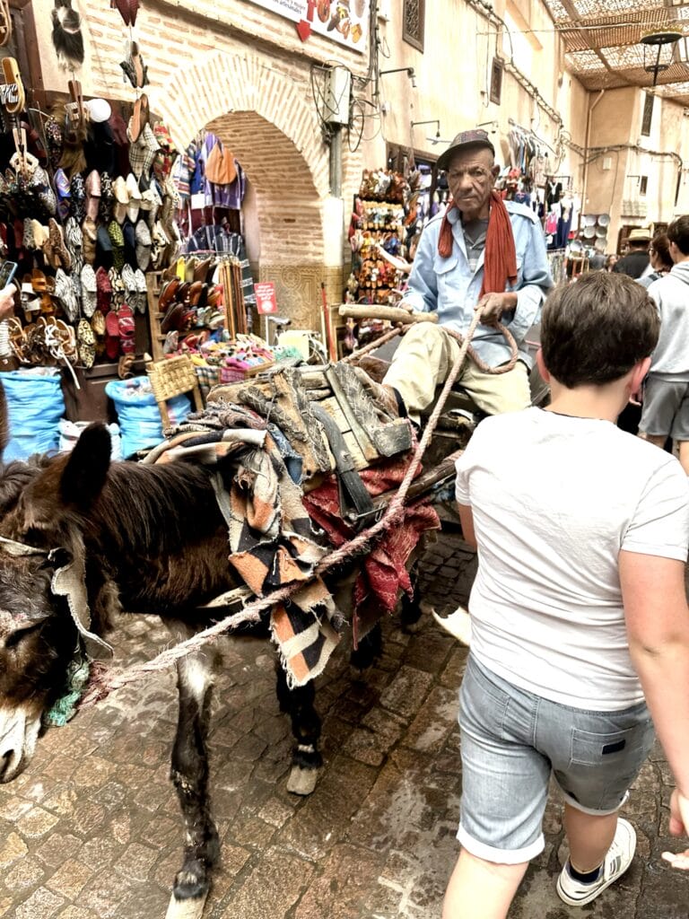 Markets of Morocco, The Markets of Morocco