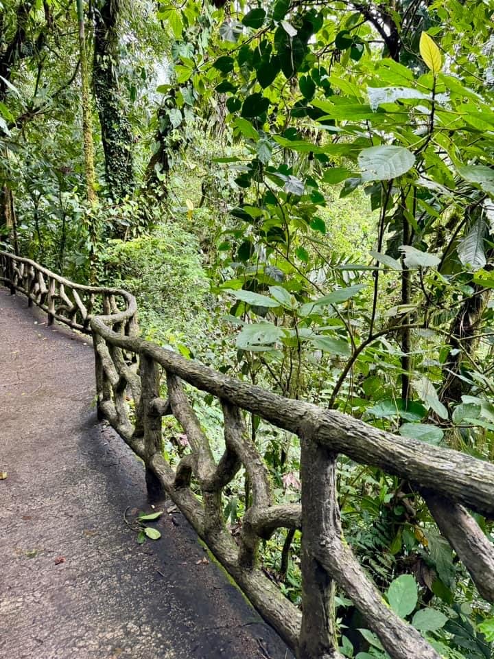 Costa Rica, Costa Rica Travel Guide