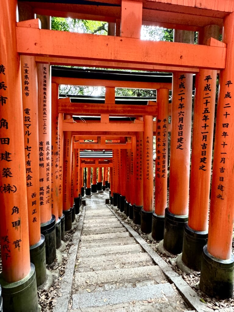 Japan, Japan Travel Guide