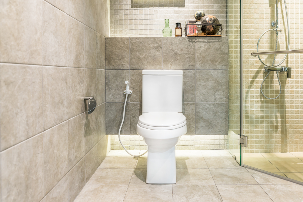 Best Toilet Reviews 2017 WanderGlobe