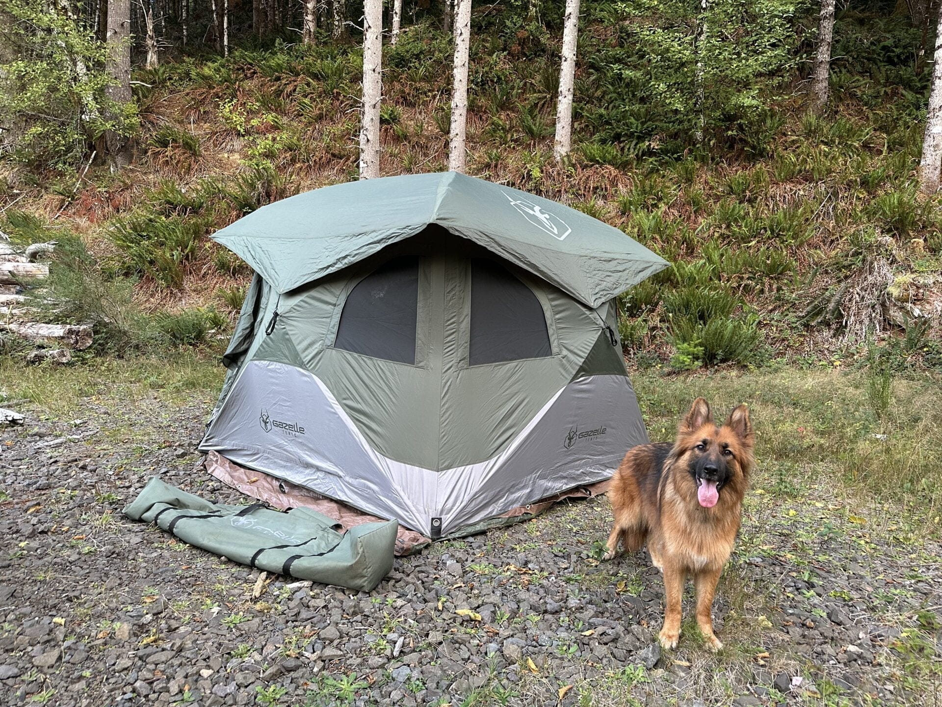 MustHave Dog Camping Gear Your Pooch's Ultimate Adventure Checklist Wanderland Xperience