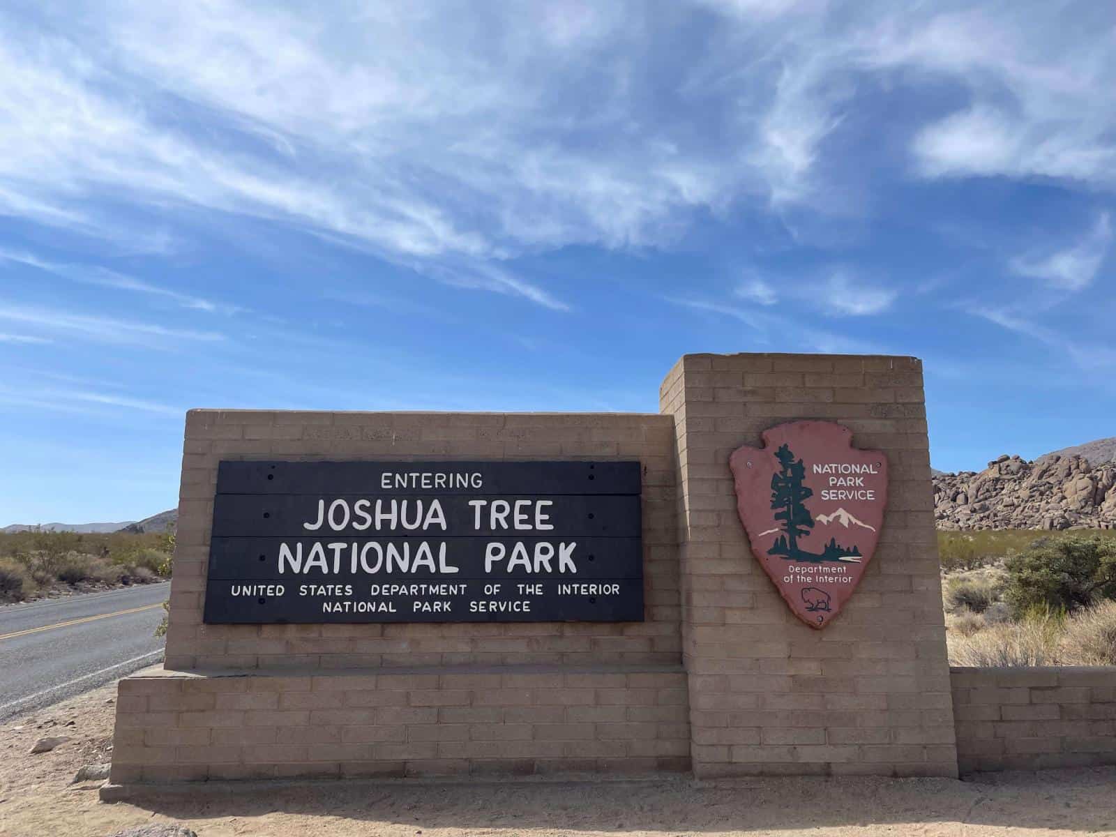 Is Joshua Tree Worth Visiting? Wandermust Family