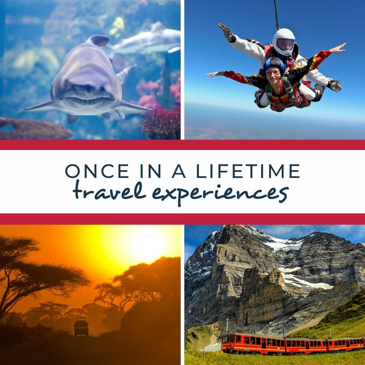 Once In A Lifetime