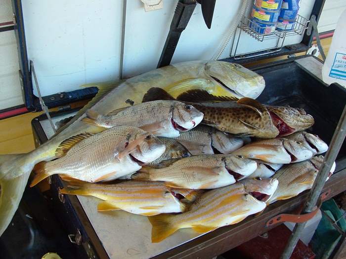 FISHING IN WESTERN AUSTRALIA Western Australia