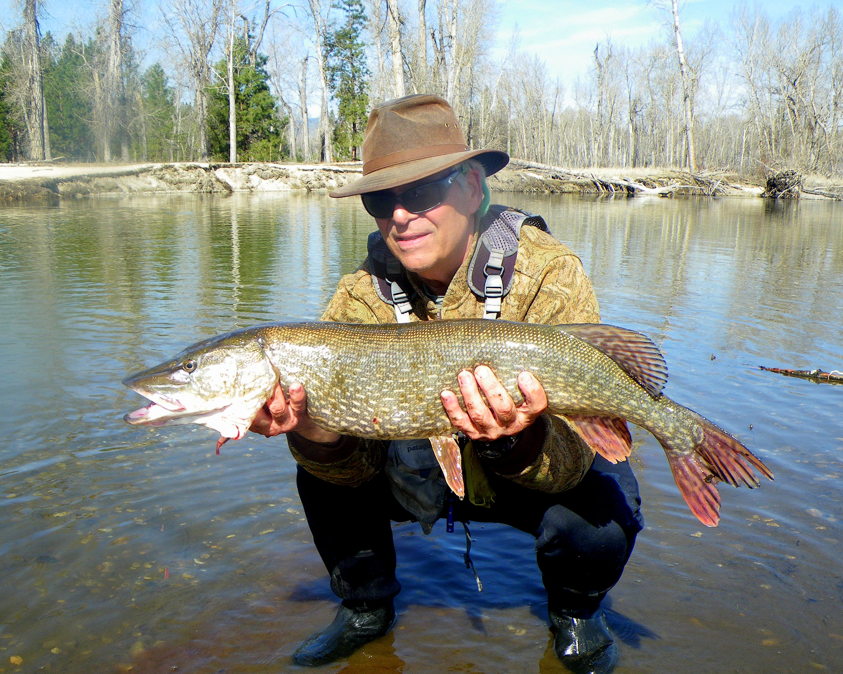 northern pike A Montana Fly Fishing Blog with Wapiti Waters and Jack