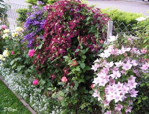 Six Fun and Funky Ways to Transform your Chain Link