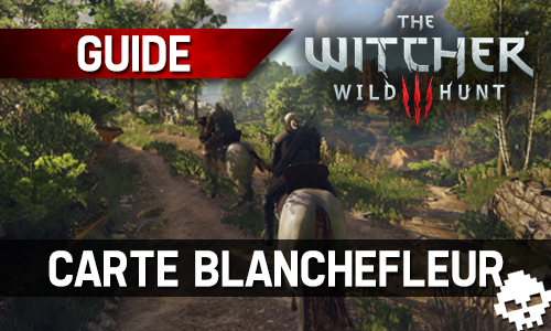 Guide The Witcher 3 Carte Complete Blanchefleur Coffres