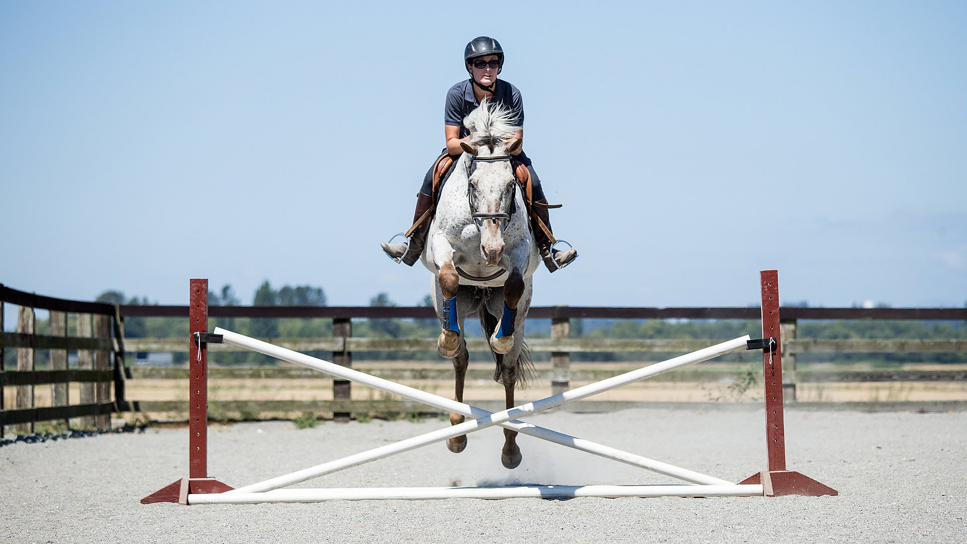 Horse Riding Lessons Safe, Professional Horsemanship Experience