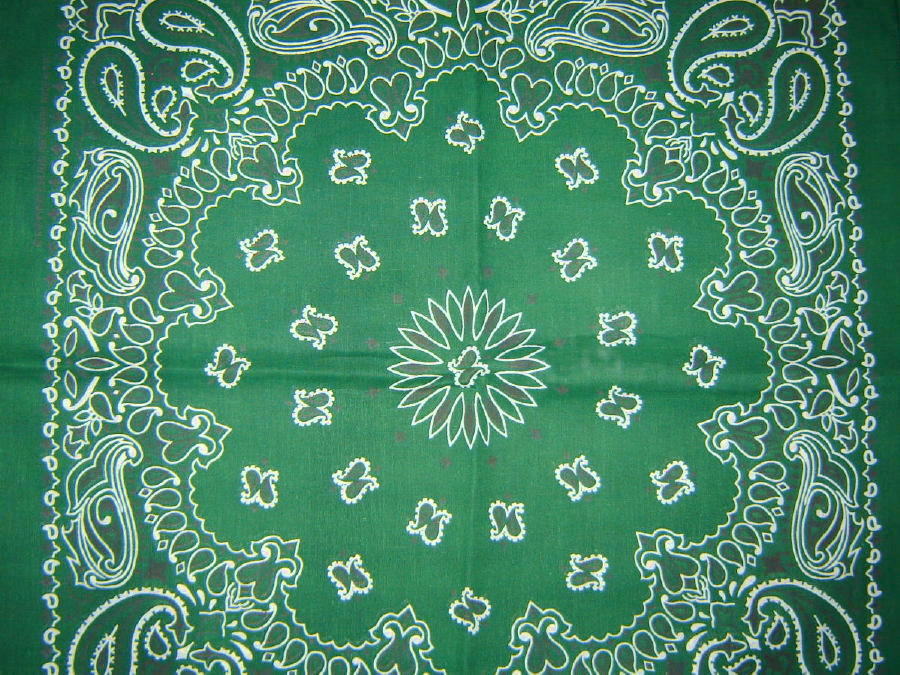 Bellany blog green bandana