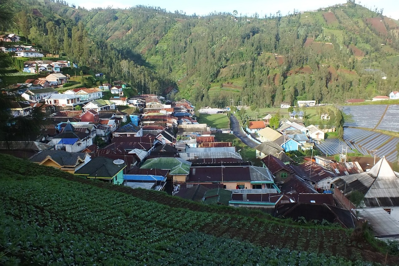 Koran Online 16 Juli Pemkab Pasuruan Tarik Retribusi untuk Pengunjung