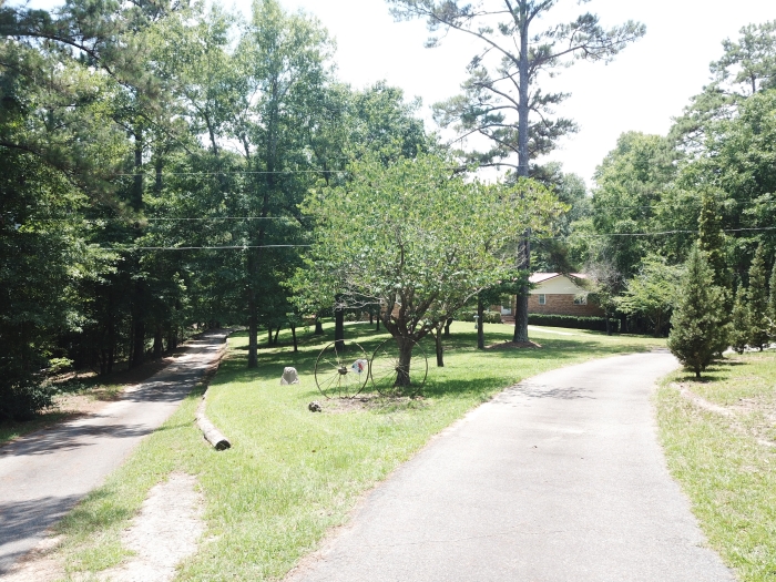 Wasden Realty Residential, Commercial, Farms, & Investment Properties