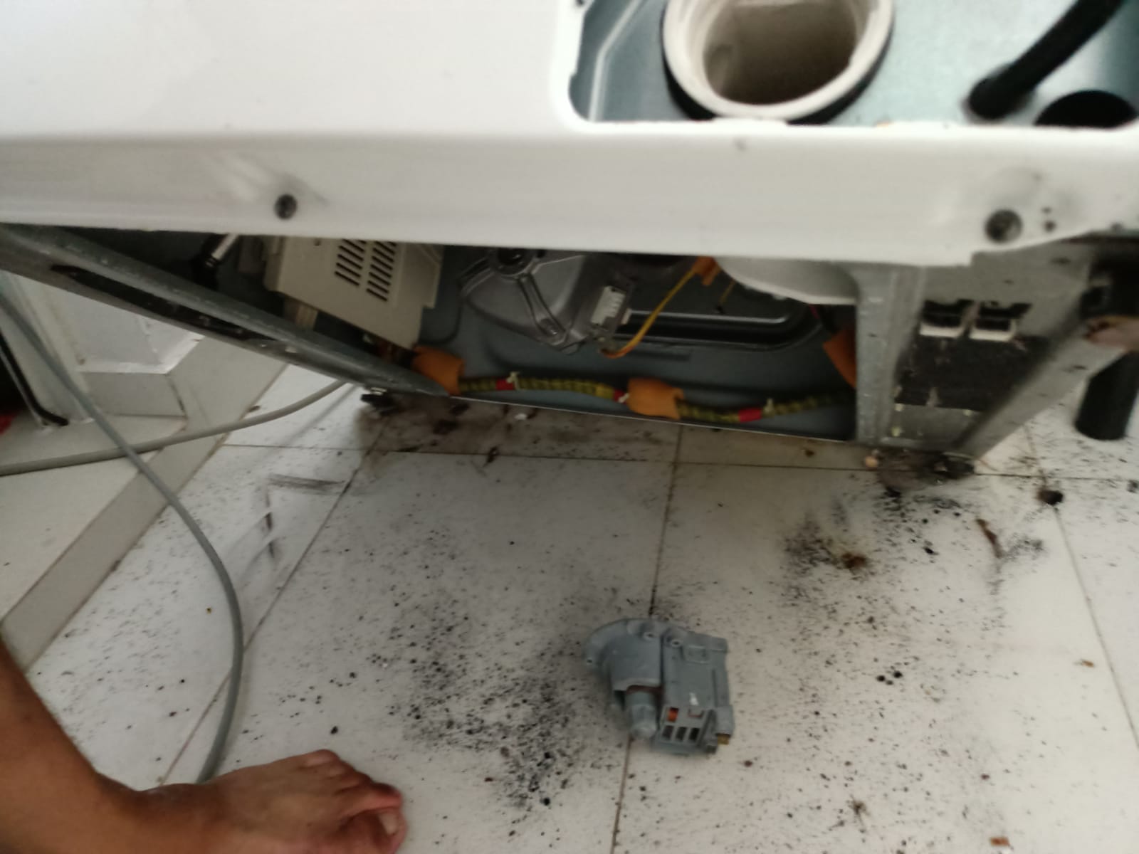 Washing Machine Checking For Filter Issue Washing Machine Repair