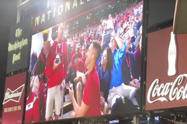 Gay couple gets engaged at Nationals game