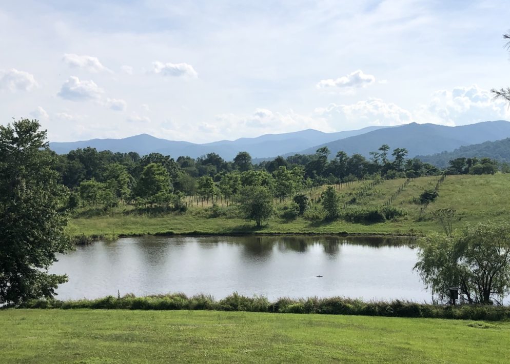 A Virginia Wine Country Inn and Restaurant Is Reopening with Pineapple