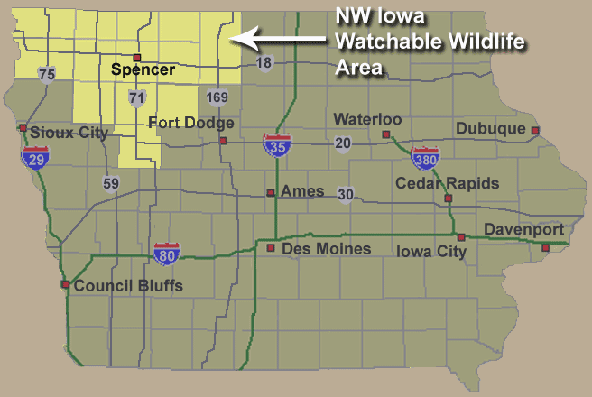 Map Of Northwest Iowa Get the Big View of Watchable Wildlife in Northwest Iowa!