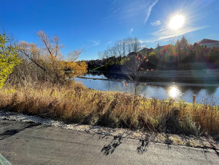 Caledon completes stormwater management pond rehabilitation Water Canada