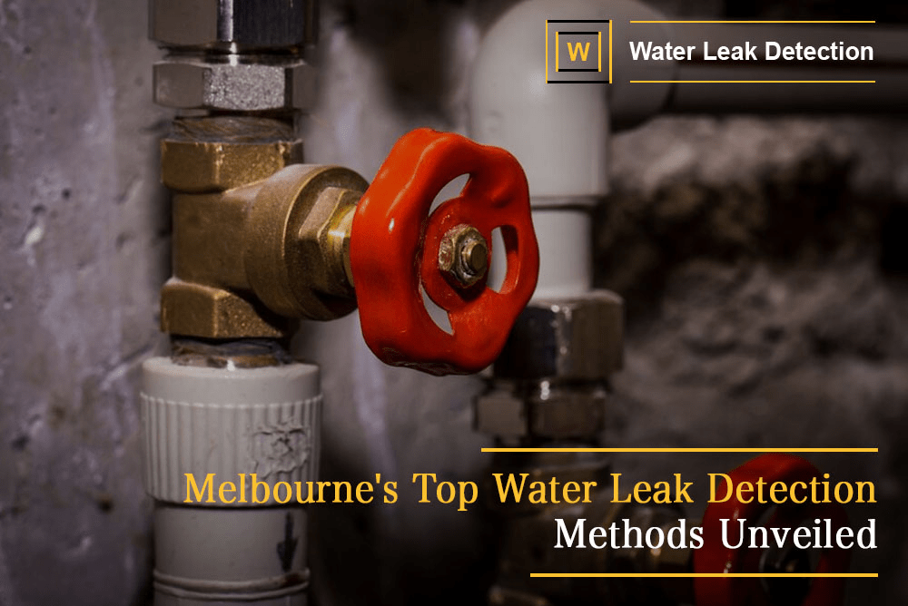Melbourne's Top Water Leak Detection Expert Methods Unveiled