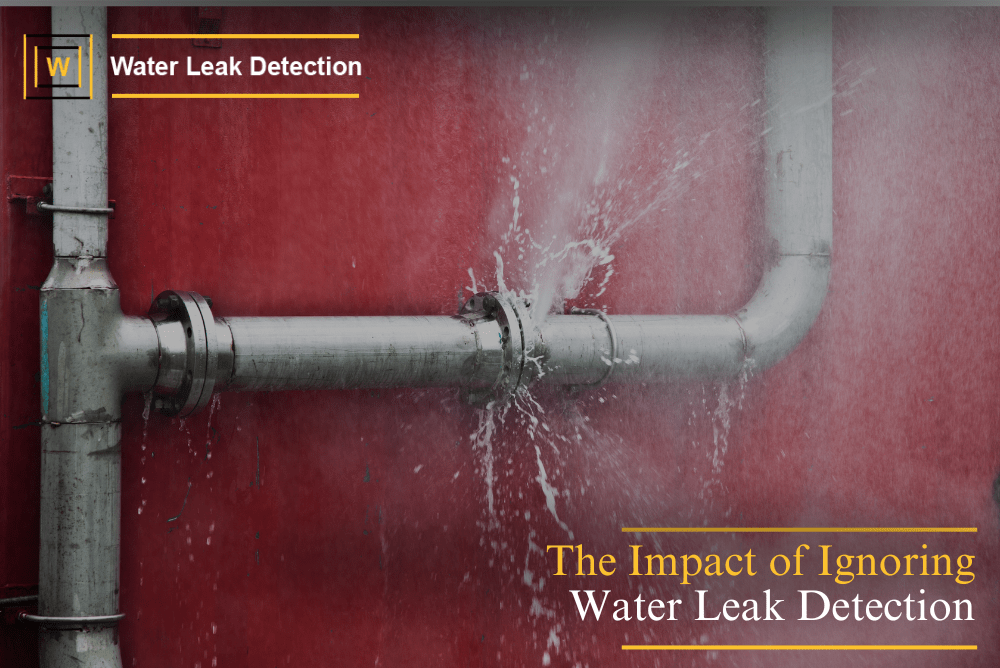 Ignoring Water Leak Detection Can Cost You Big Time
