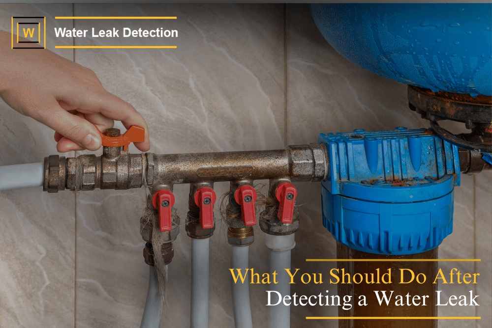 Steps to Take After Detecting a Water Leak(04)