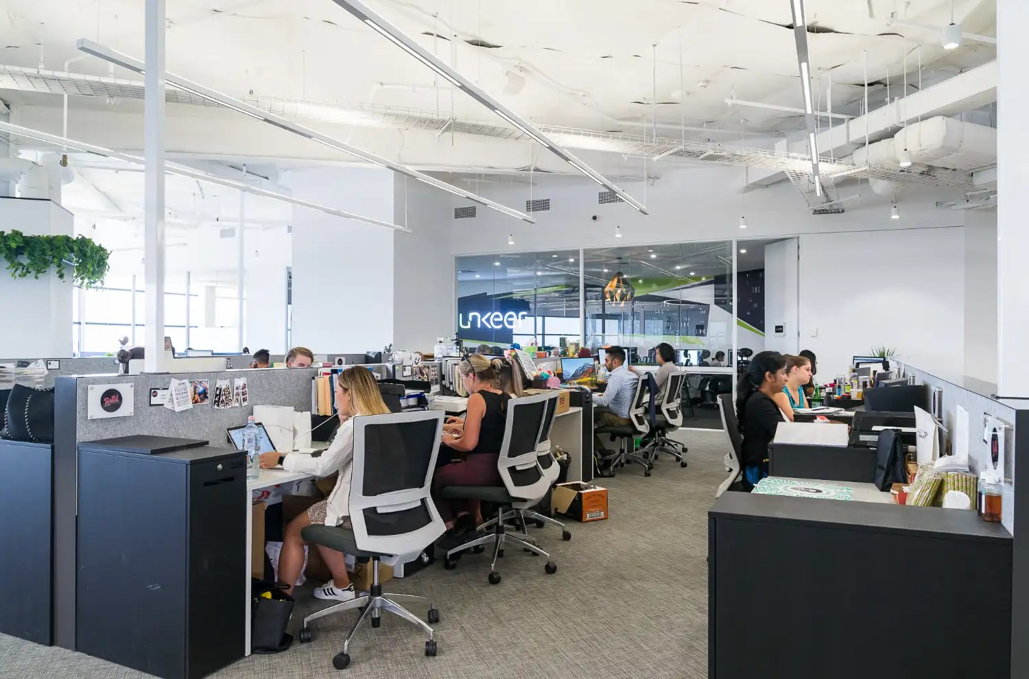 Shared Office Spaces The Complete Guide