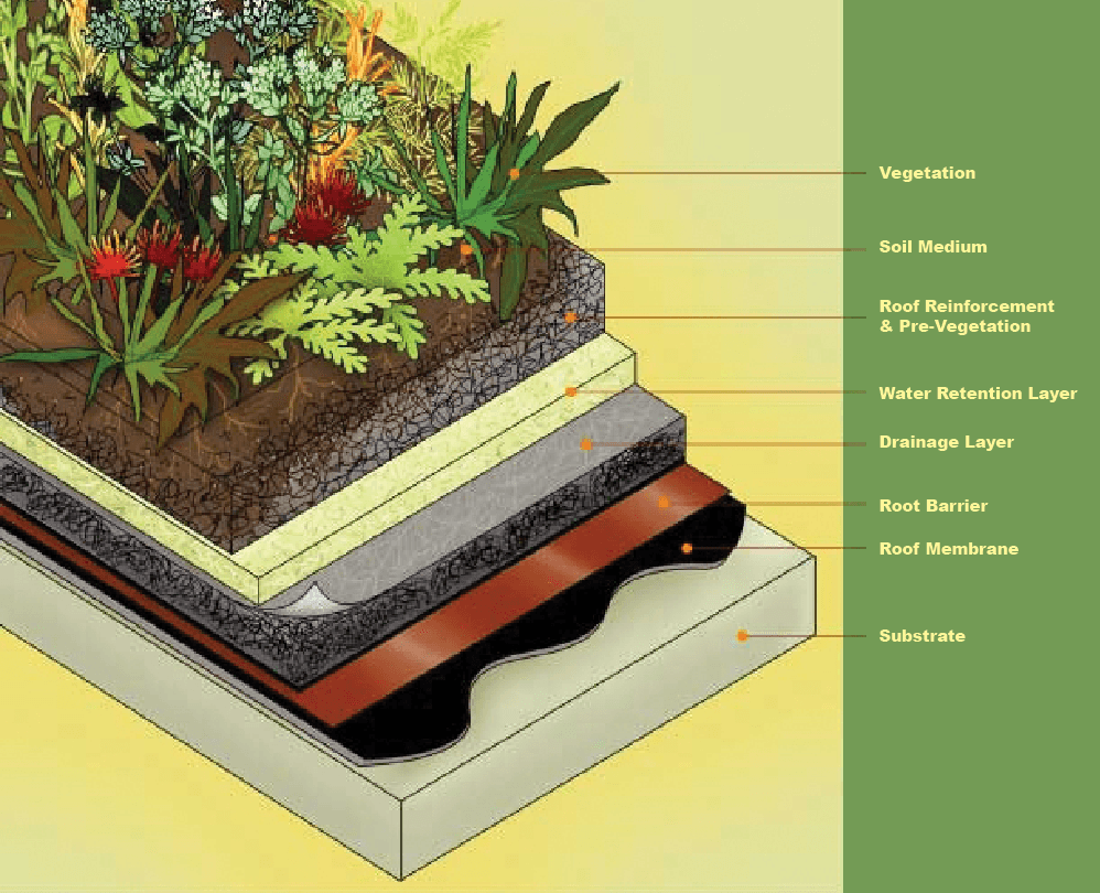 Green Rooftops WATERPROOF! Magazine