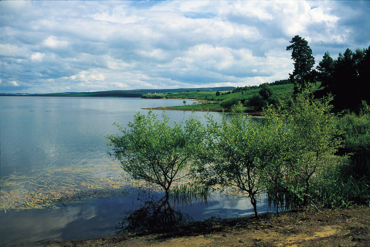 Derwent Reservoir Fishing Waterside Parks