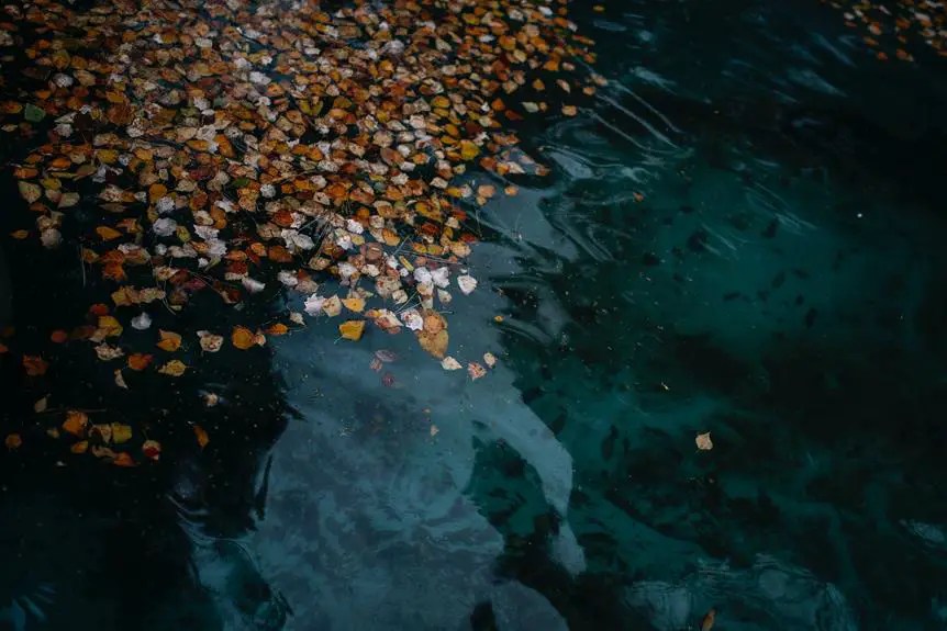 Are Water Softeners Bad for the Environment Water System Expert