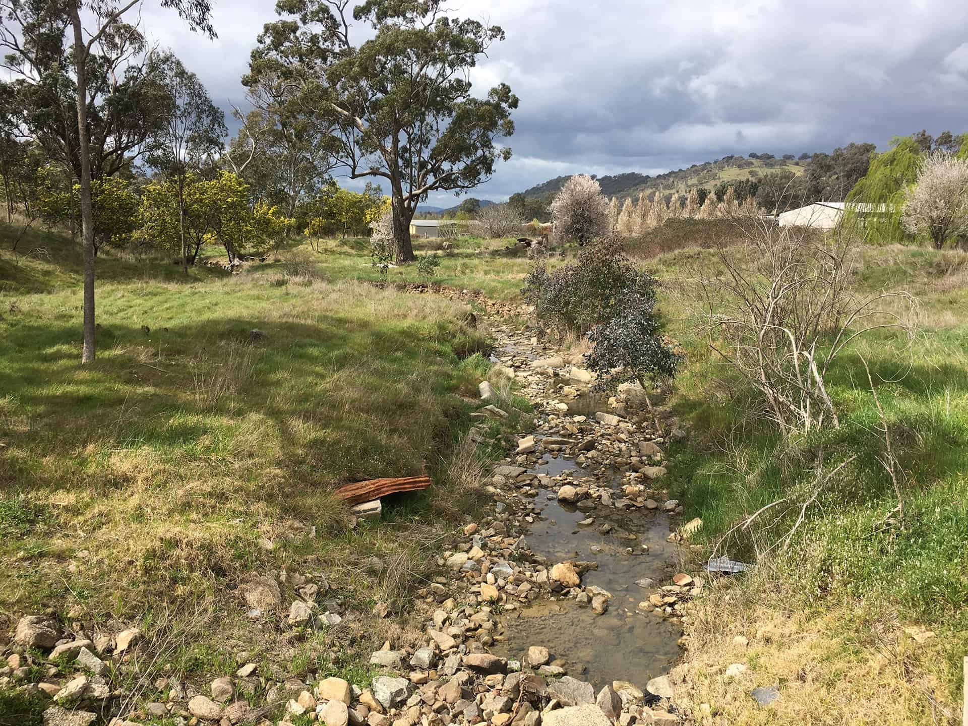 Wodonga Regional Waterway Action Plan Water Technology