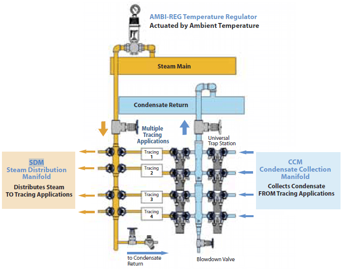 Manifold Steam Traps Watson McDaniel