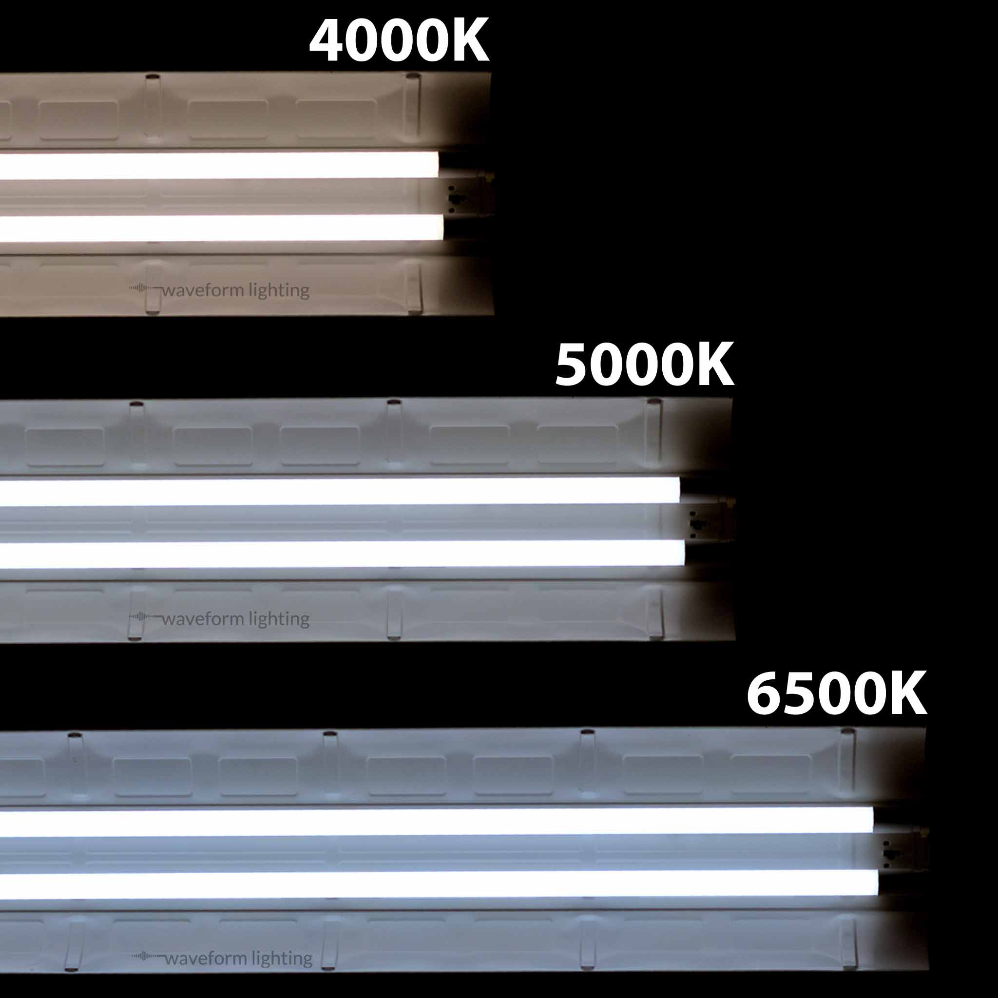 Everything You Need to Know About LED Tube Lights Waveform Lighting