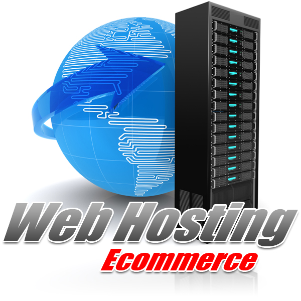 Website Hosting Wave Business Website Design