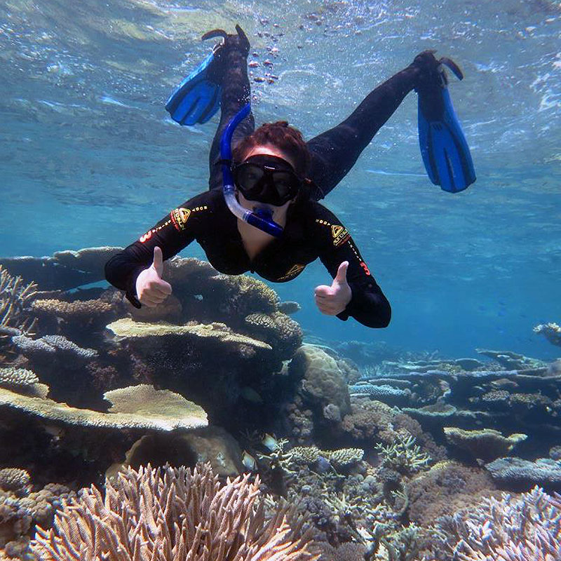 Port Douglas Full Day Reef Snorkel Tour with Wavelength Reef Cruises