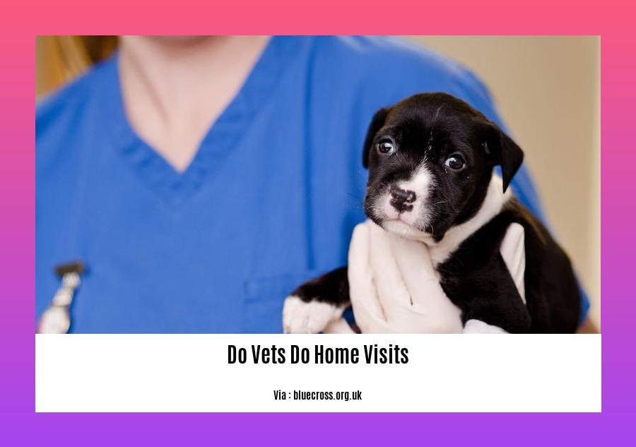  Do Vets Do Home Visits Enhancing Pet Care Convenience and Accessibility Wave Sold
