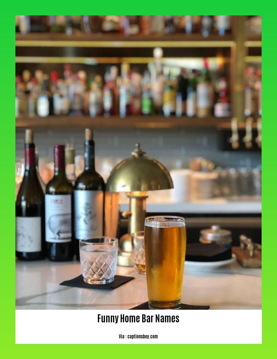 Give Your Home Bar a Hilarious Twist A Collection of Funny Home Bar