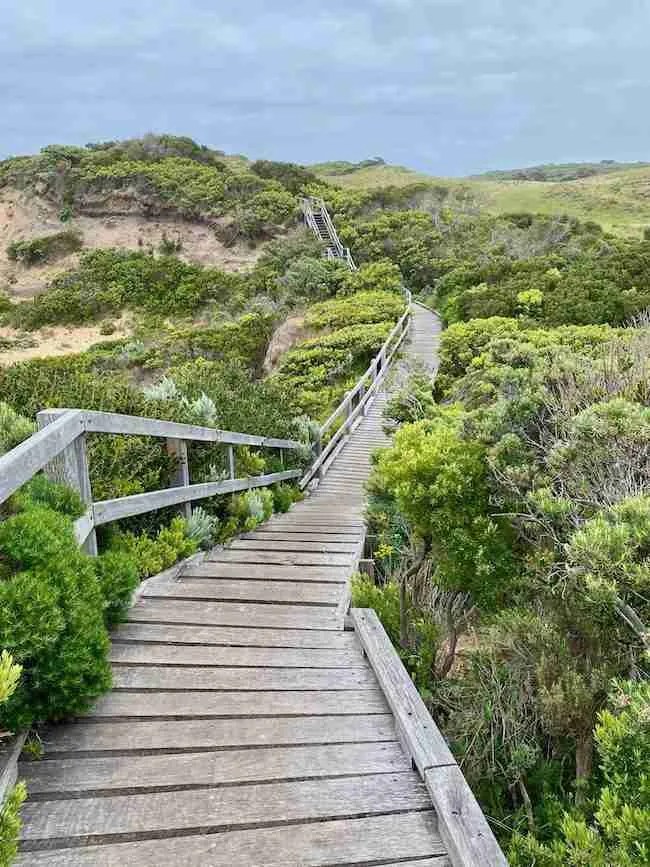 Guide to Cape Otway, Great Otways National Park Great Ocean Road BPTRV