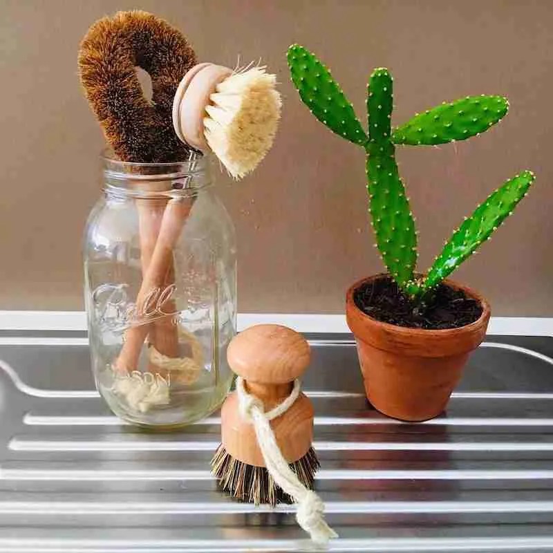 Eco Cleaning Brush Set Sustainably Made from Renewable Materials