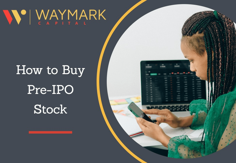 Pre IPO StockDefinition,How to Buy,Risk and More