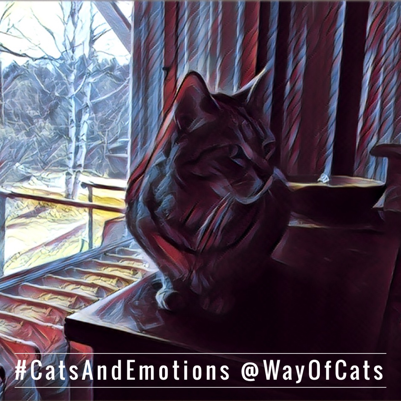 Is my cat depressed? How can I tell? the Way of Cats