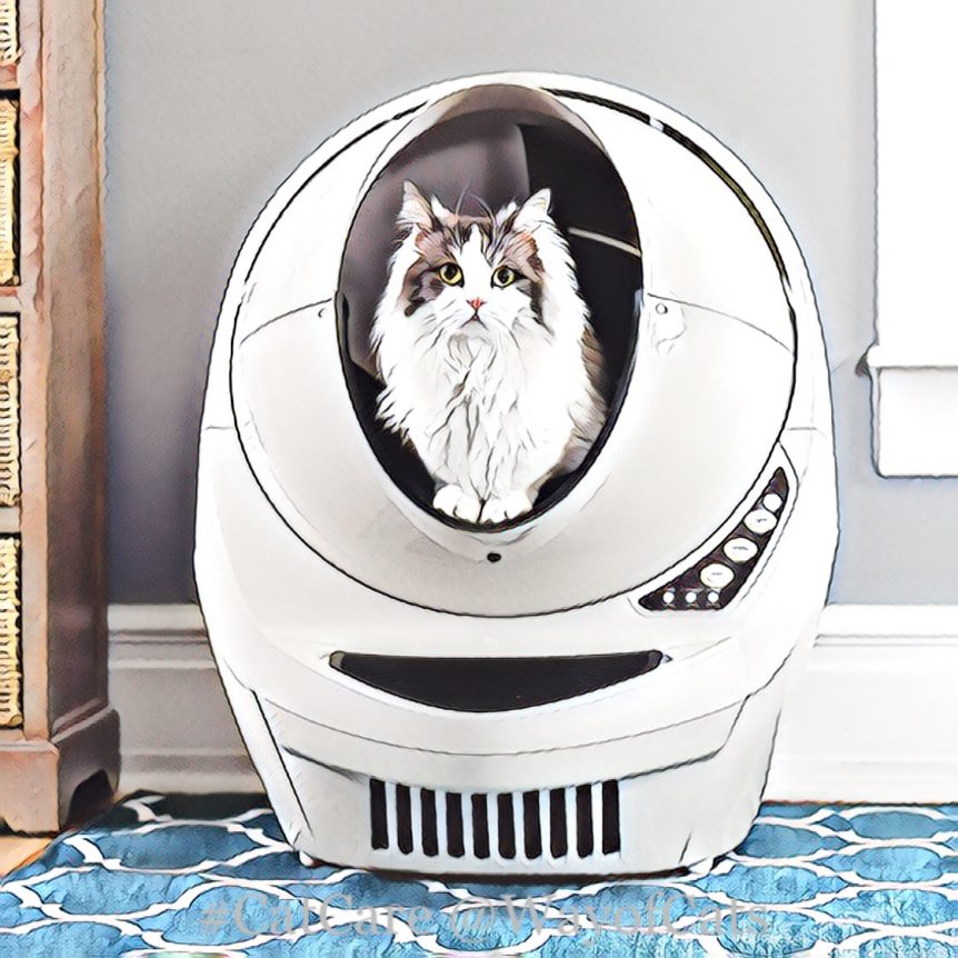 You are being redirected...