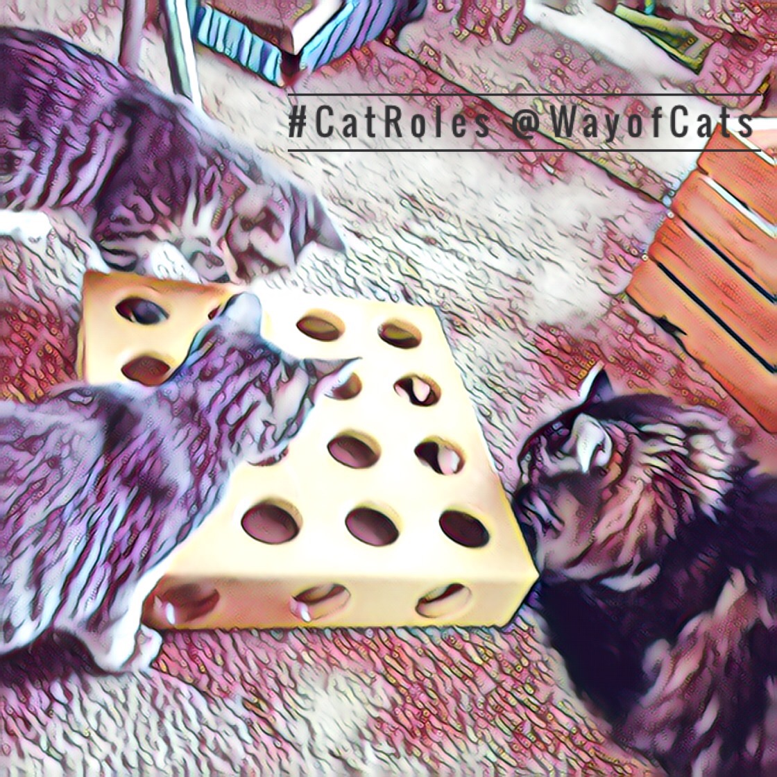 How Many is Too Many? is a good cat question. Way of Cats